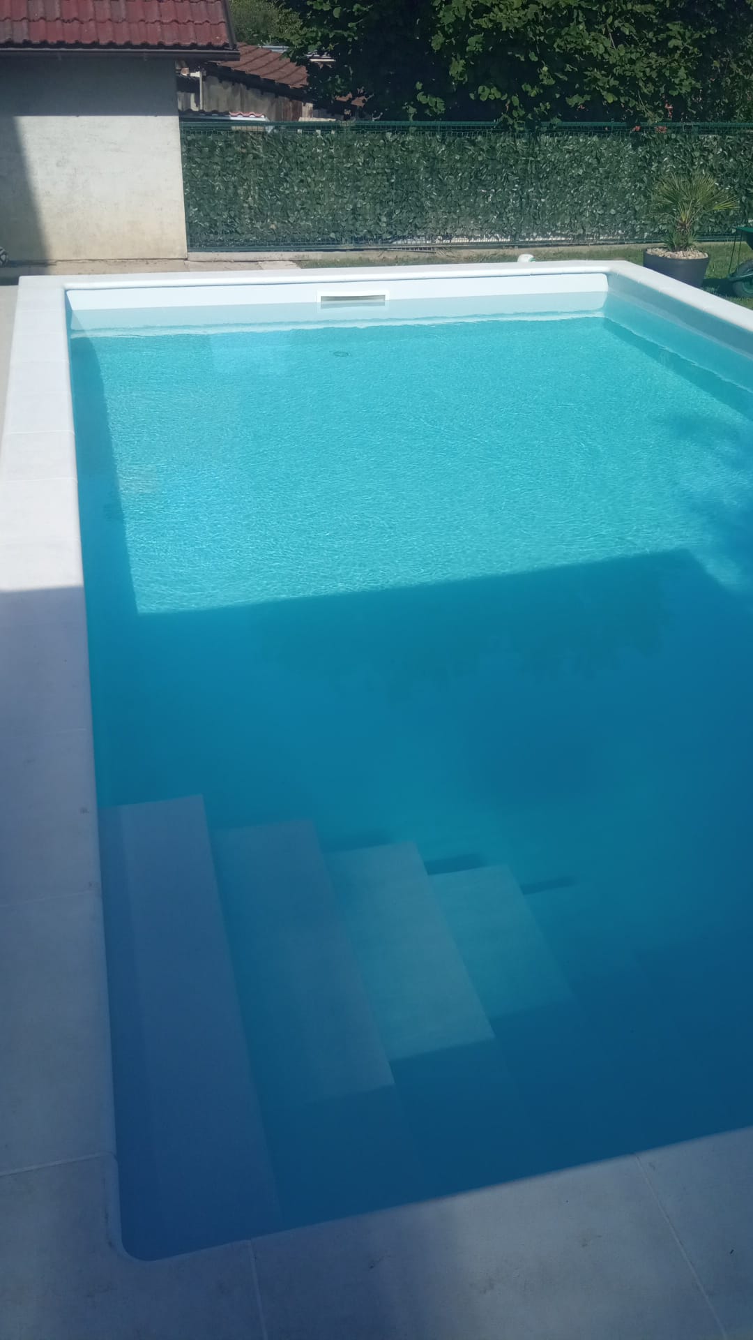 Svijetlo siva